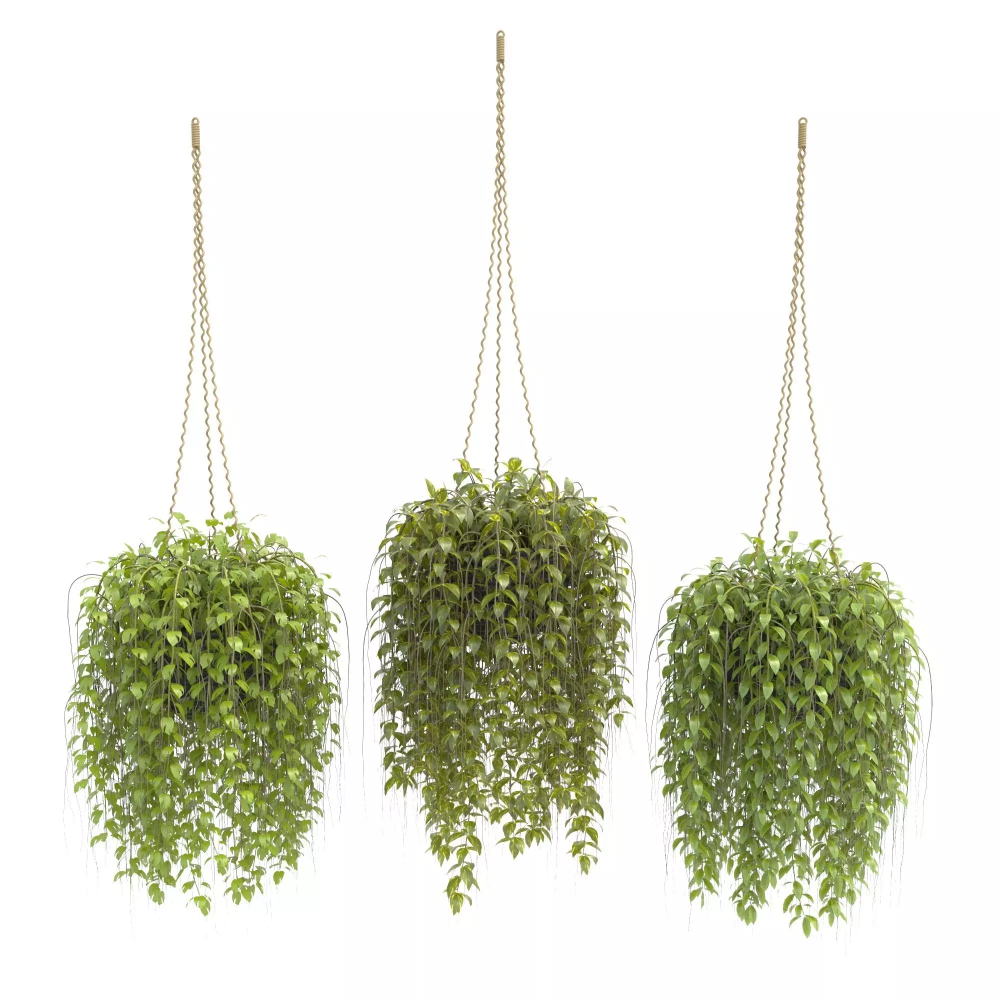 Plants collection 30 3D model_0