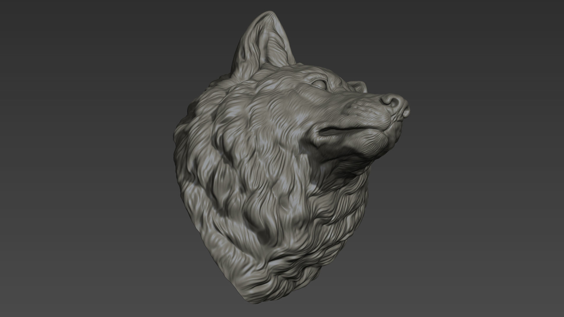 Wolf head without a grin 3D print model_24