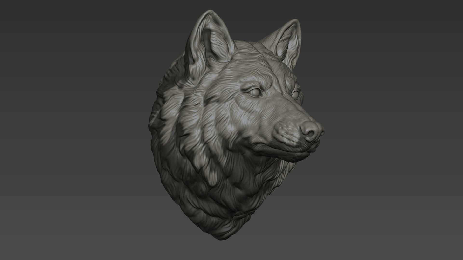 Wolf head without a grin 3D print model_23