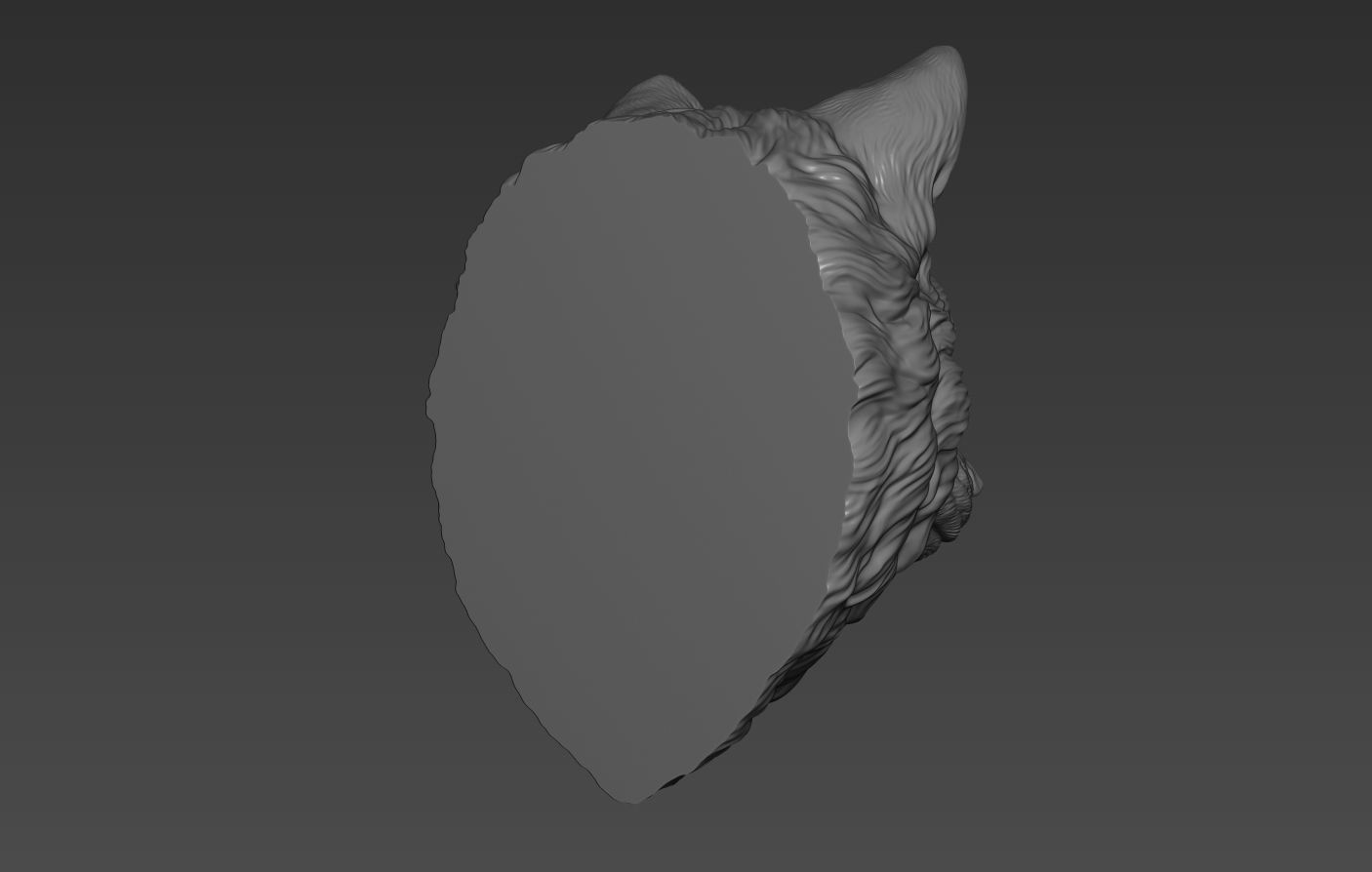 Wolf head without a grin 3D print model_8