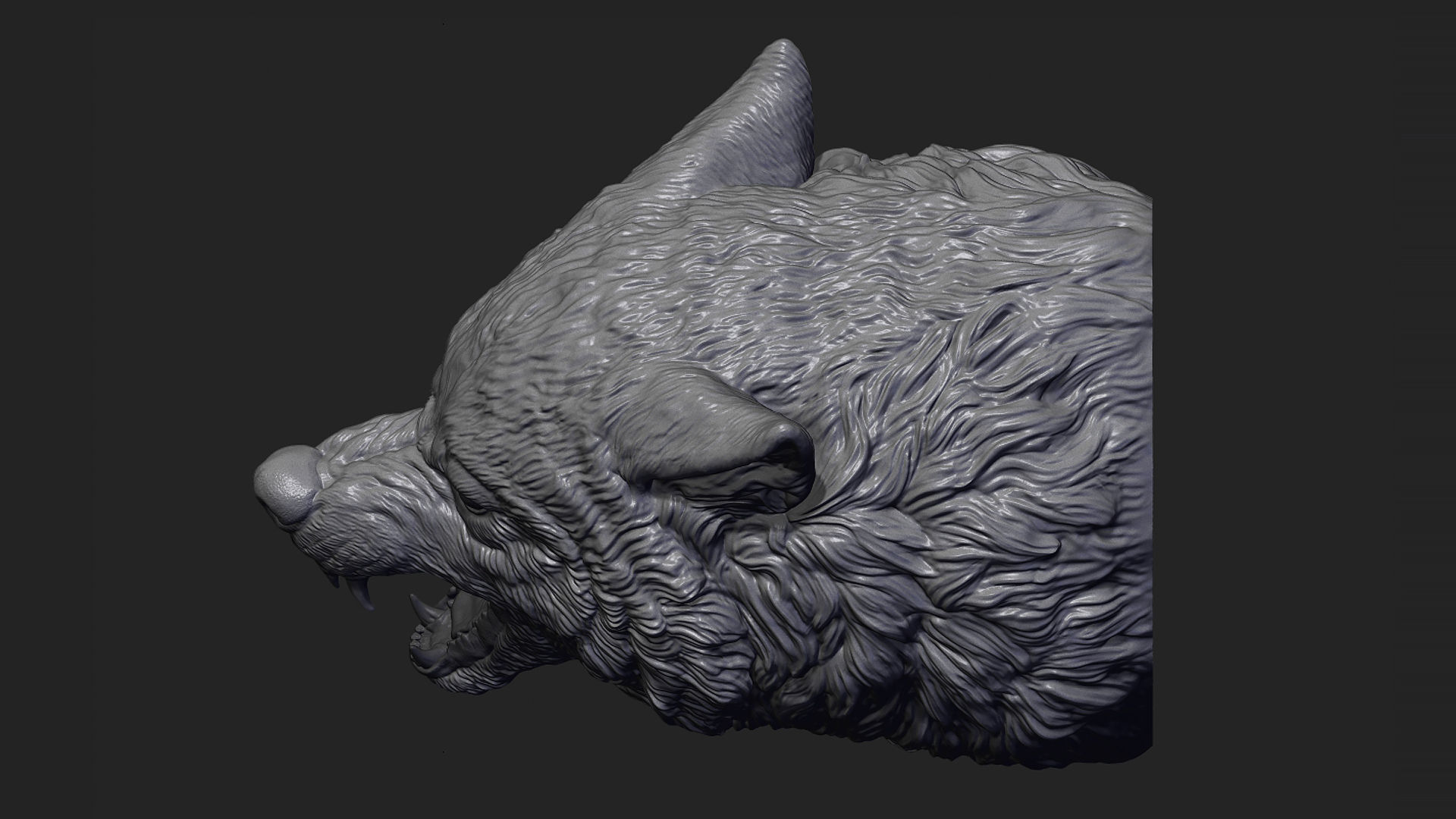 Wolf face head 3D print model_13