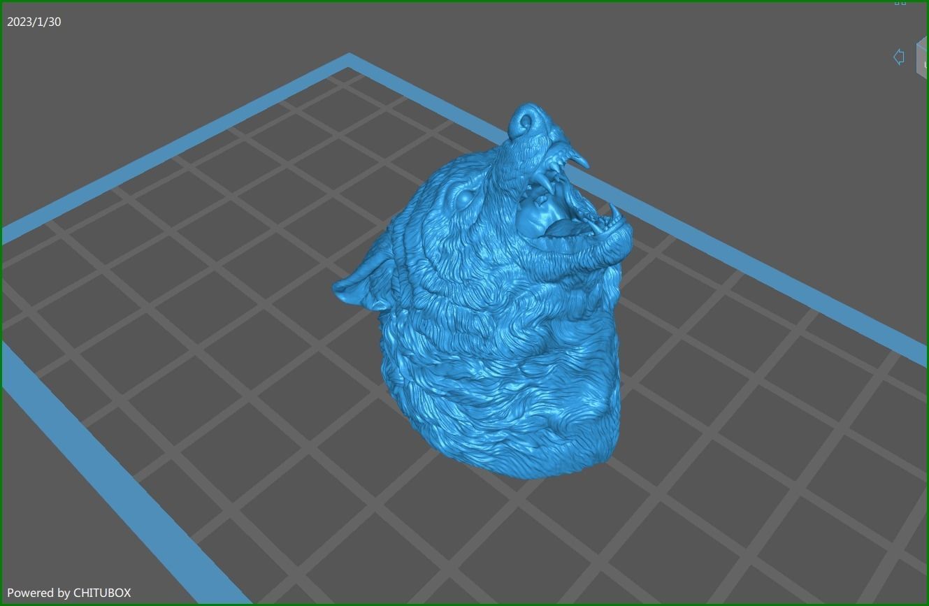 Wolf face head 3D print model_23