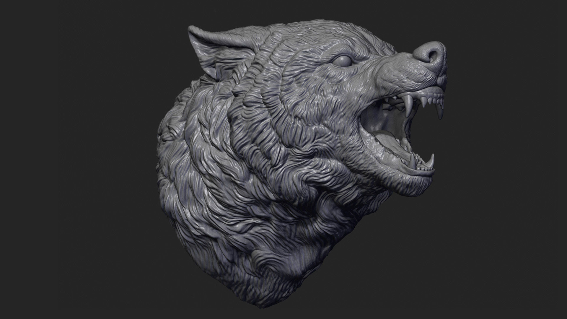 Wolf face head 3D print model_9