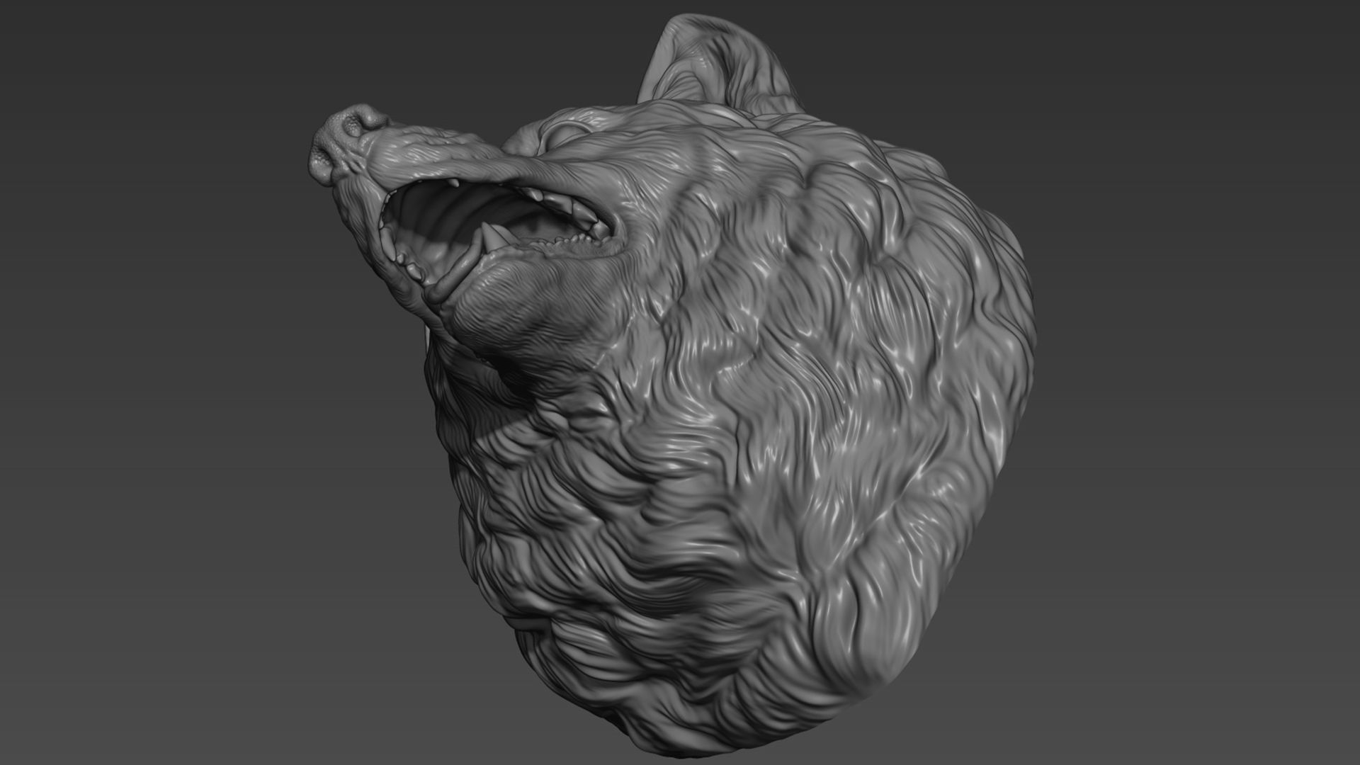 Wolf head with a mouth 3D print model_5