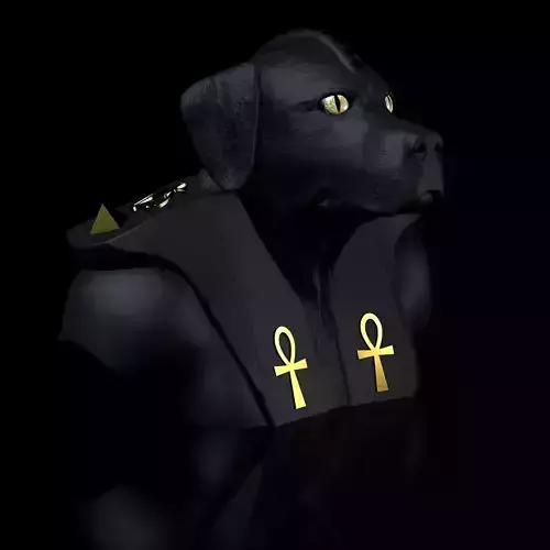 Ladrador Dog Anubis  3D Model 3 different variants 