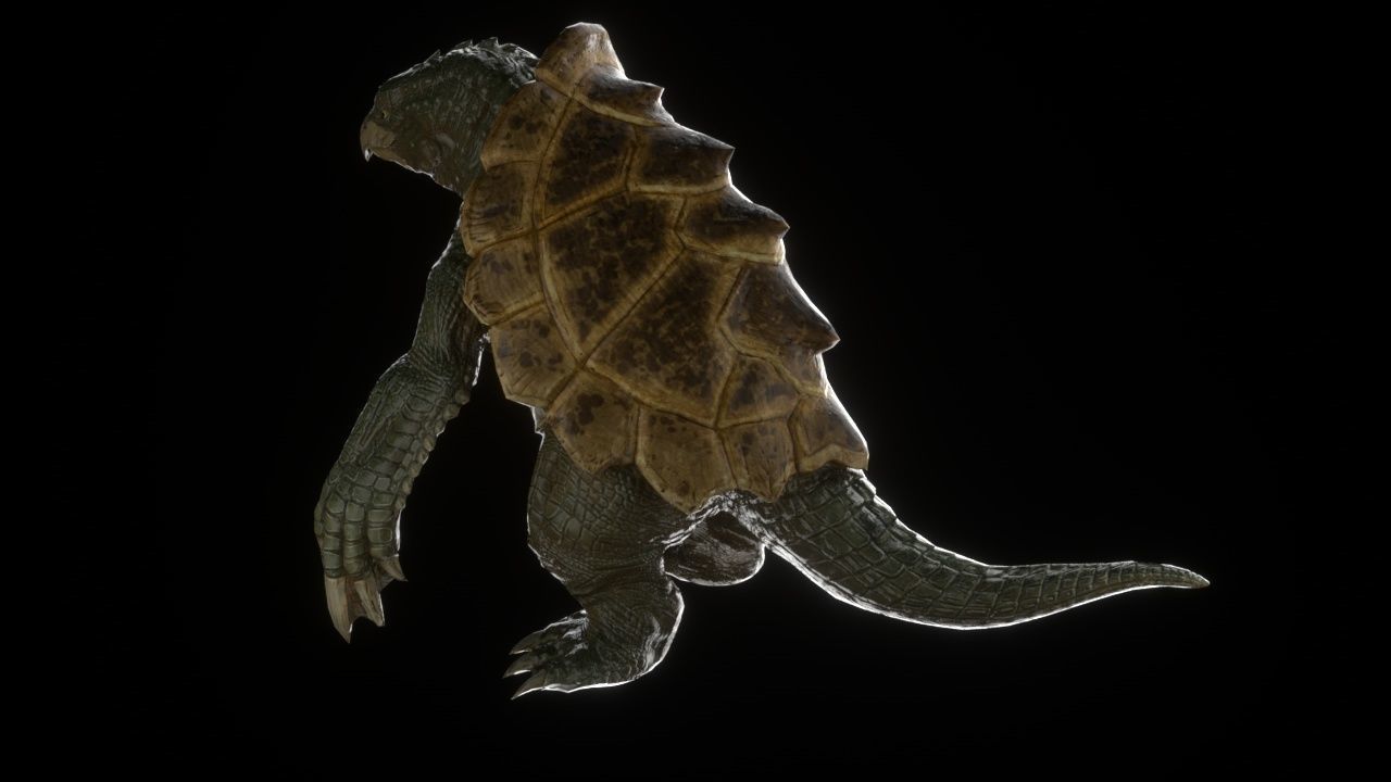 Turtle monster Free 3D model_5