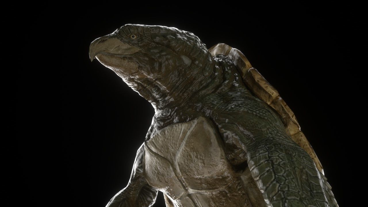 Turtle monster Free 3D model_1