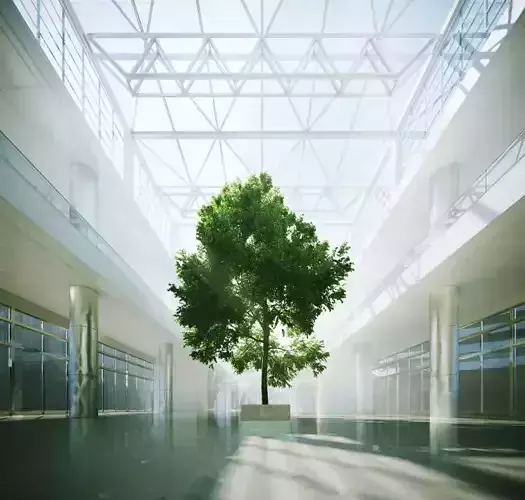 Tree In A Shopping Centre Interior