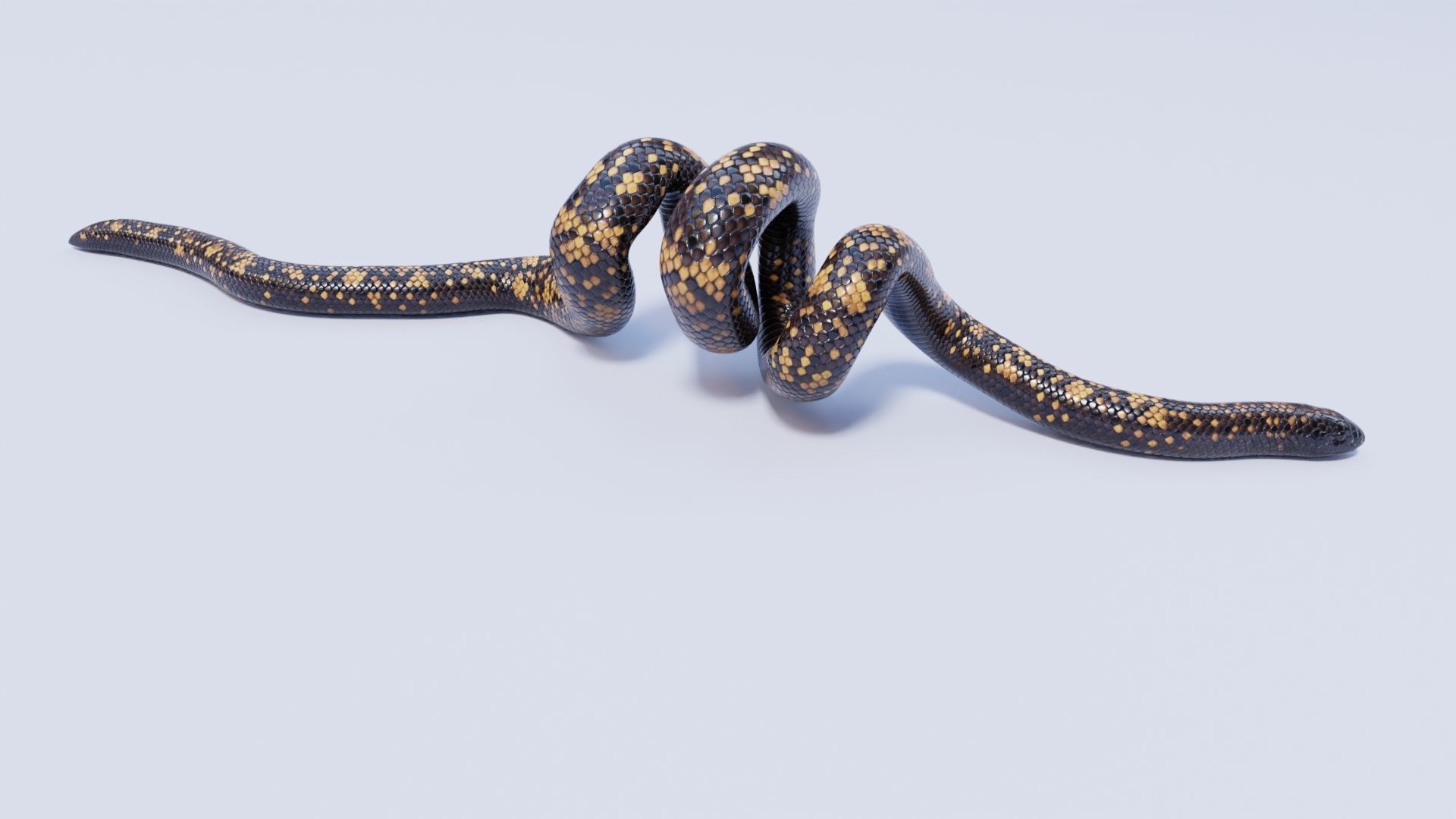 3D model Calabar Python - Static Poses VR / AR / low-poly | CGTrader