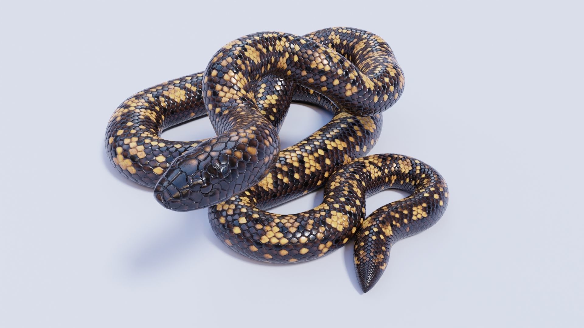 3D model Calabar Python - Static Poses VR / AR / low-poly | CGTrader