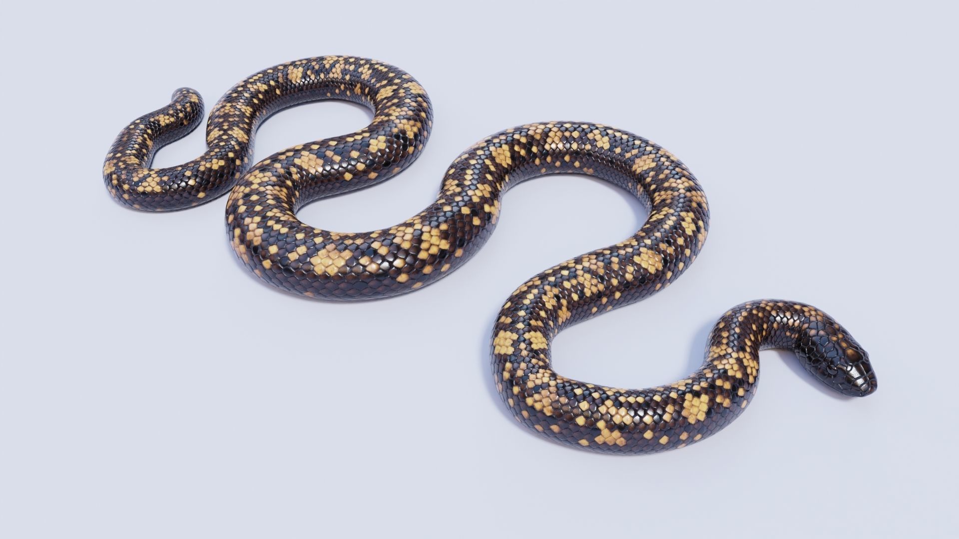 3D model Calabar Python - Static Poses VR / AR / low-poly | CGTrader