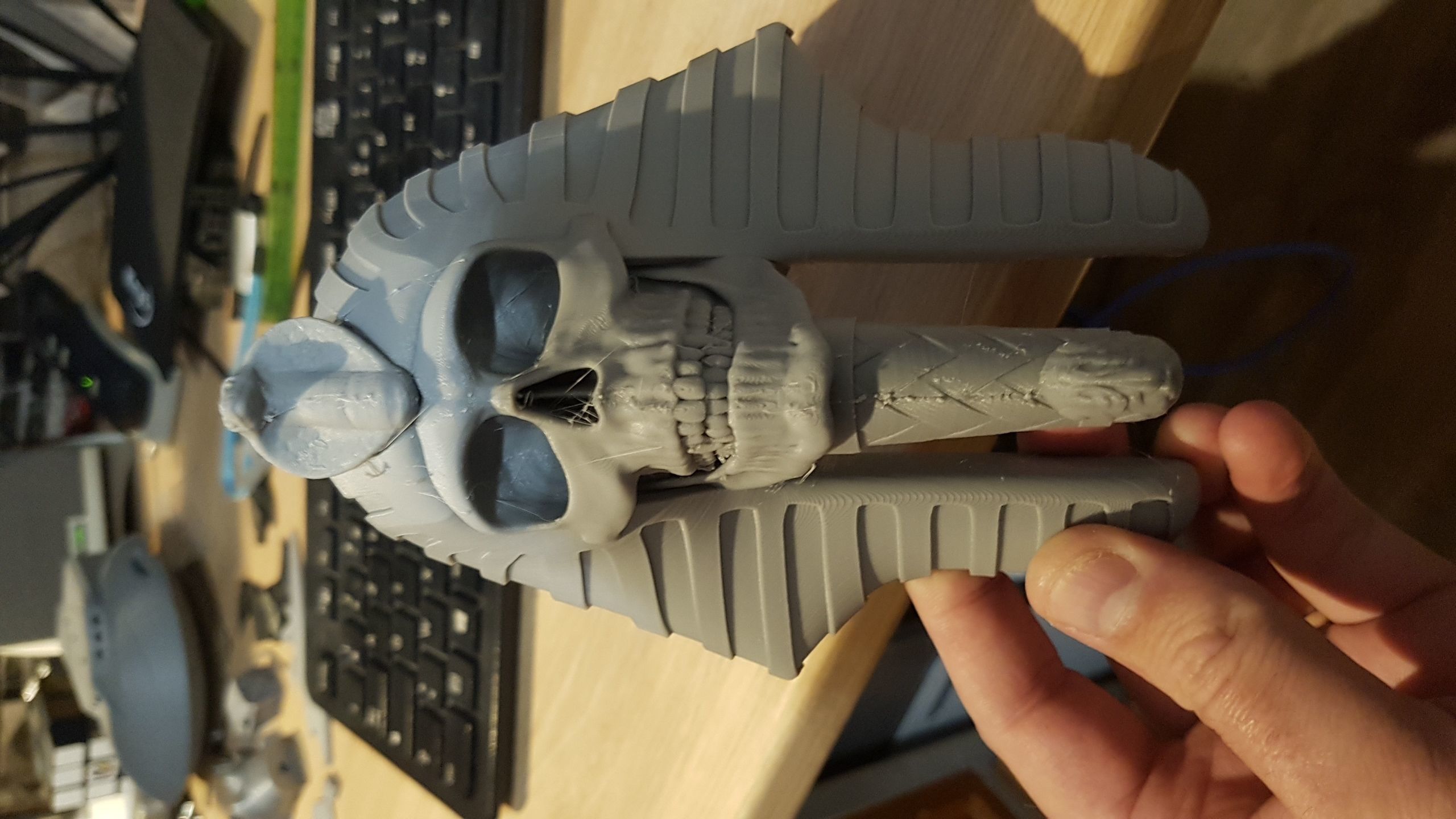 Egyptian Pharaoh skull 3D print model_3