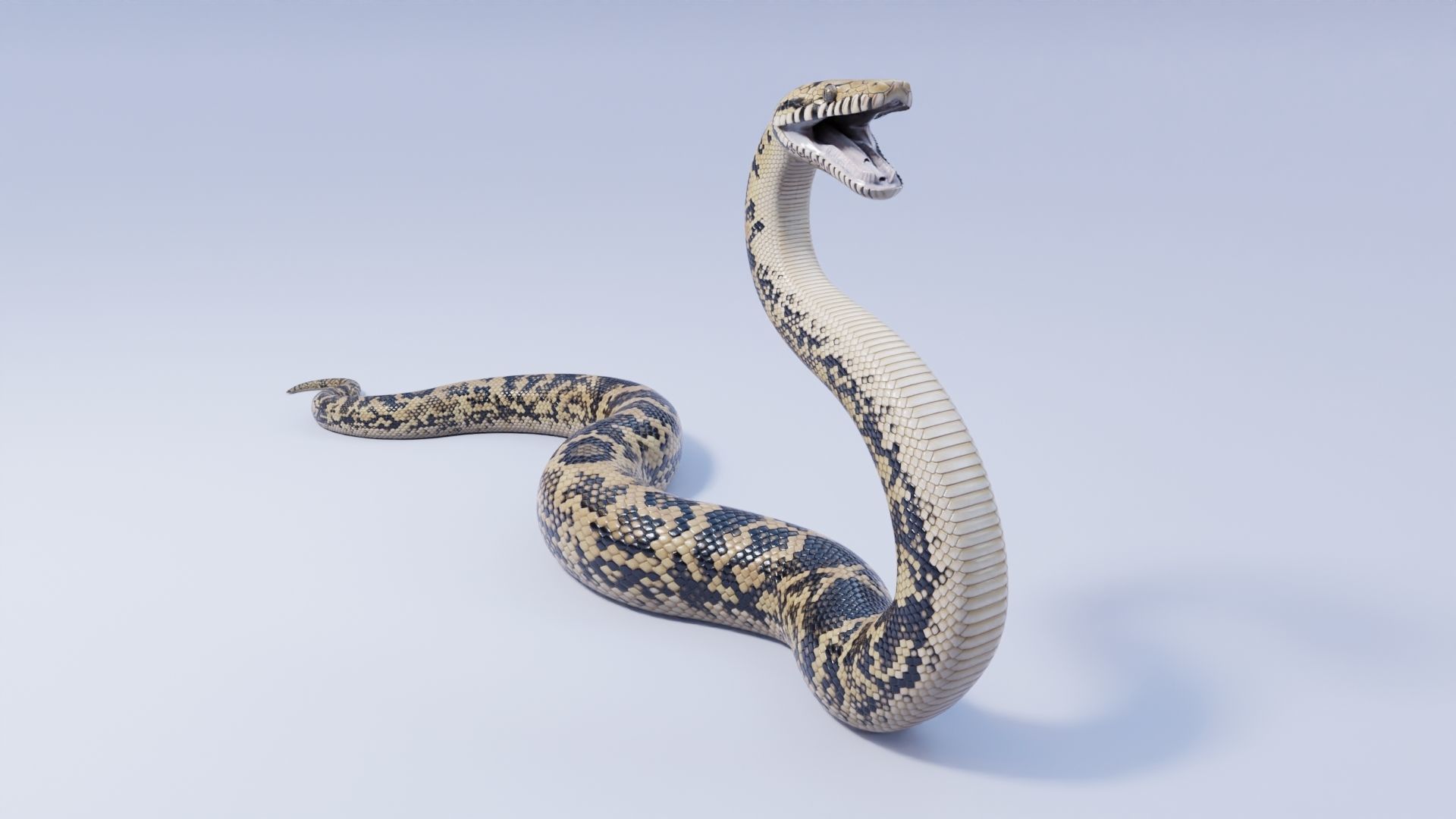 3D model Scrub Python - Static Poses VR / AR / low-poly | CGTrader
