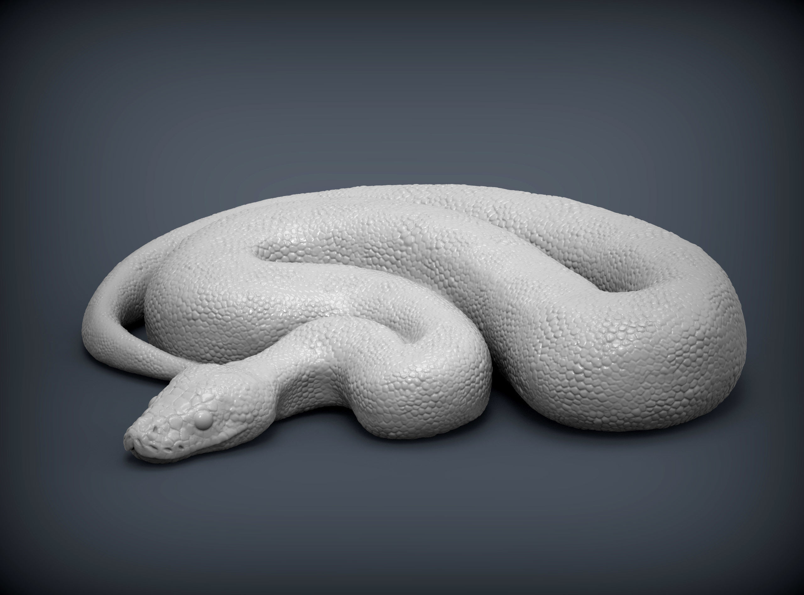 Ball Pythons 3D model 3D printable | CGTrader