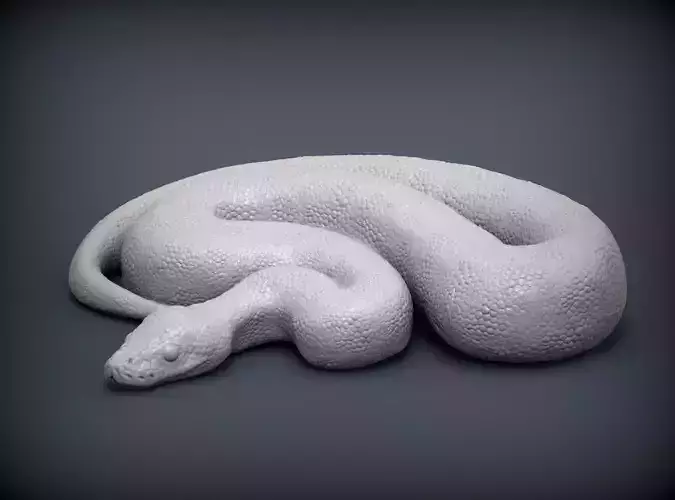 Ball Pythons 3D print model