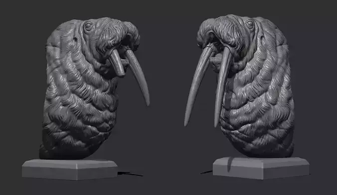 Walrus bust