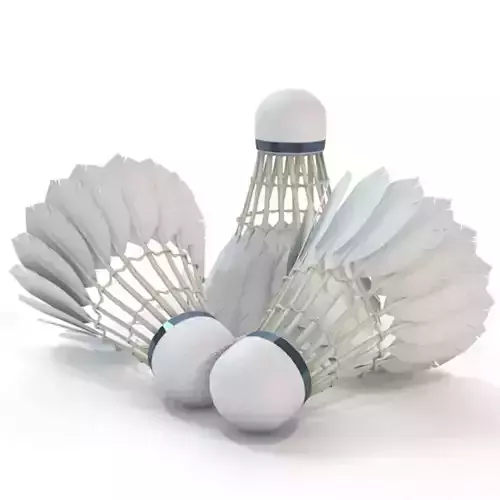 Badminton Shuttlecock 3D model