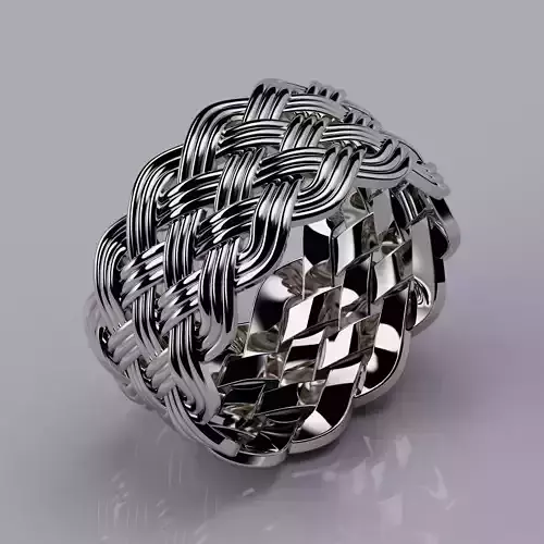 Braid Ring Style 3D print model