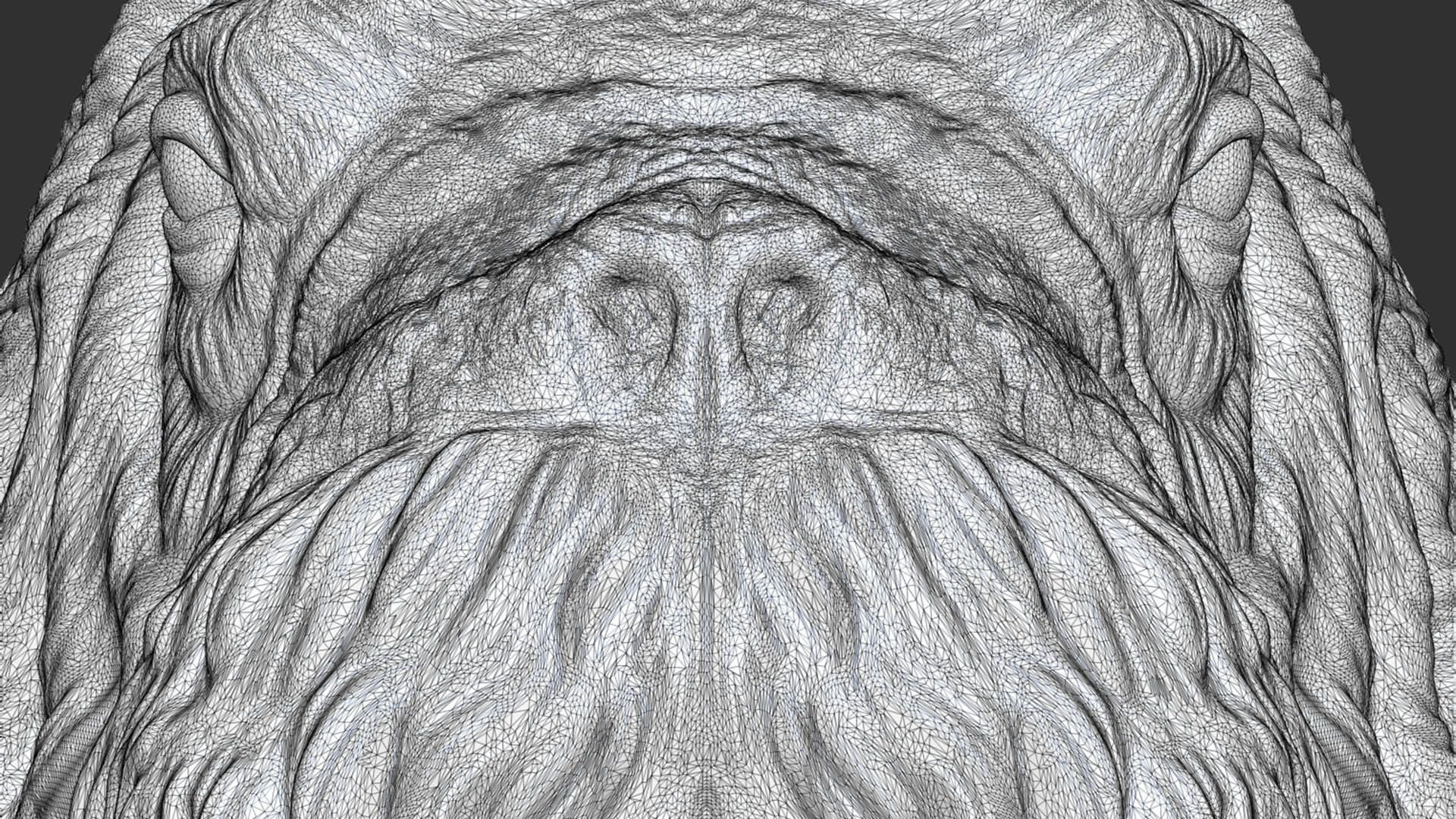 Walrus head 3D print model_20