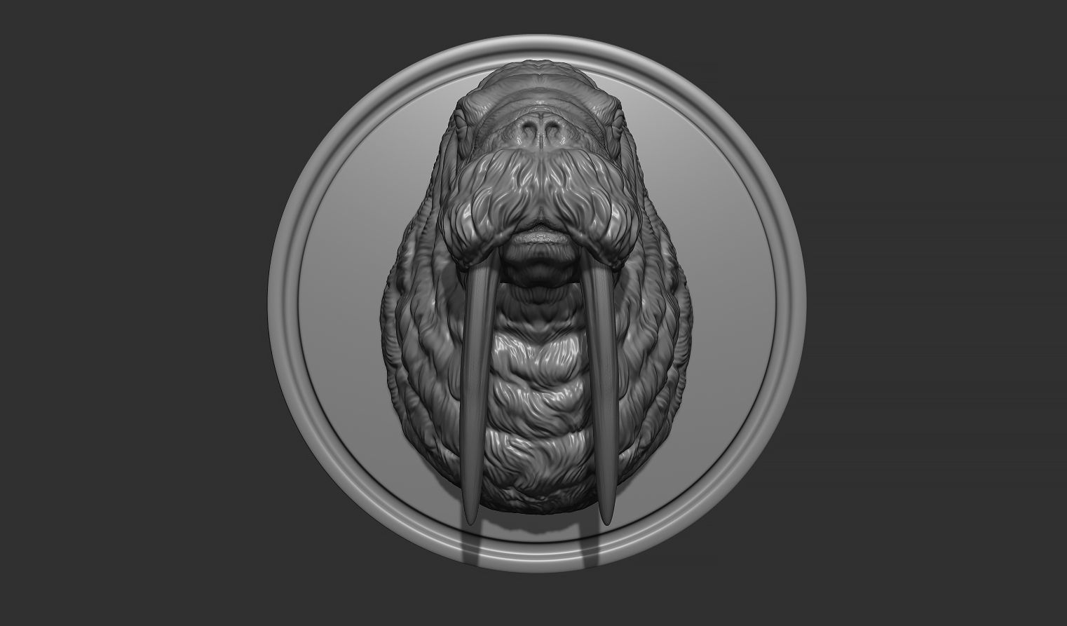 Walrus head 3D print model_1