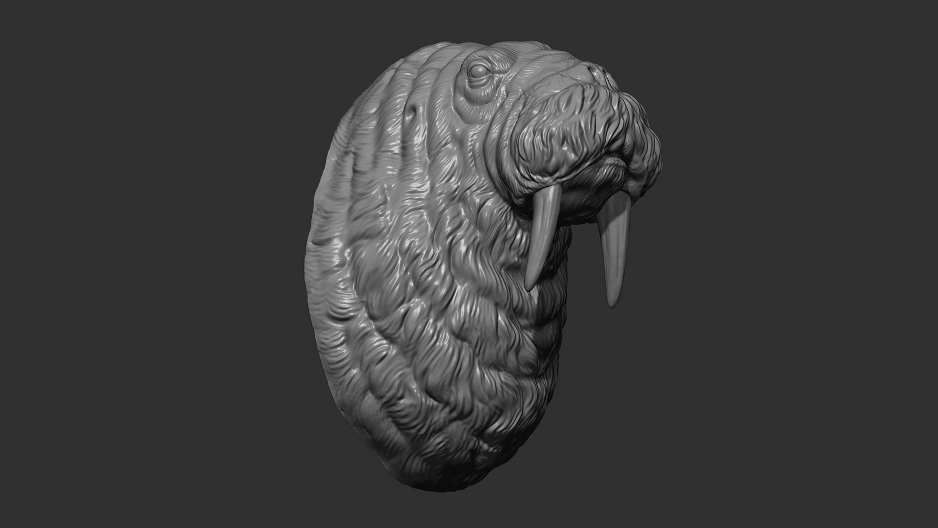 Walrus head 3D print model_8