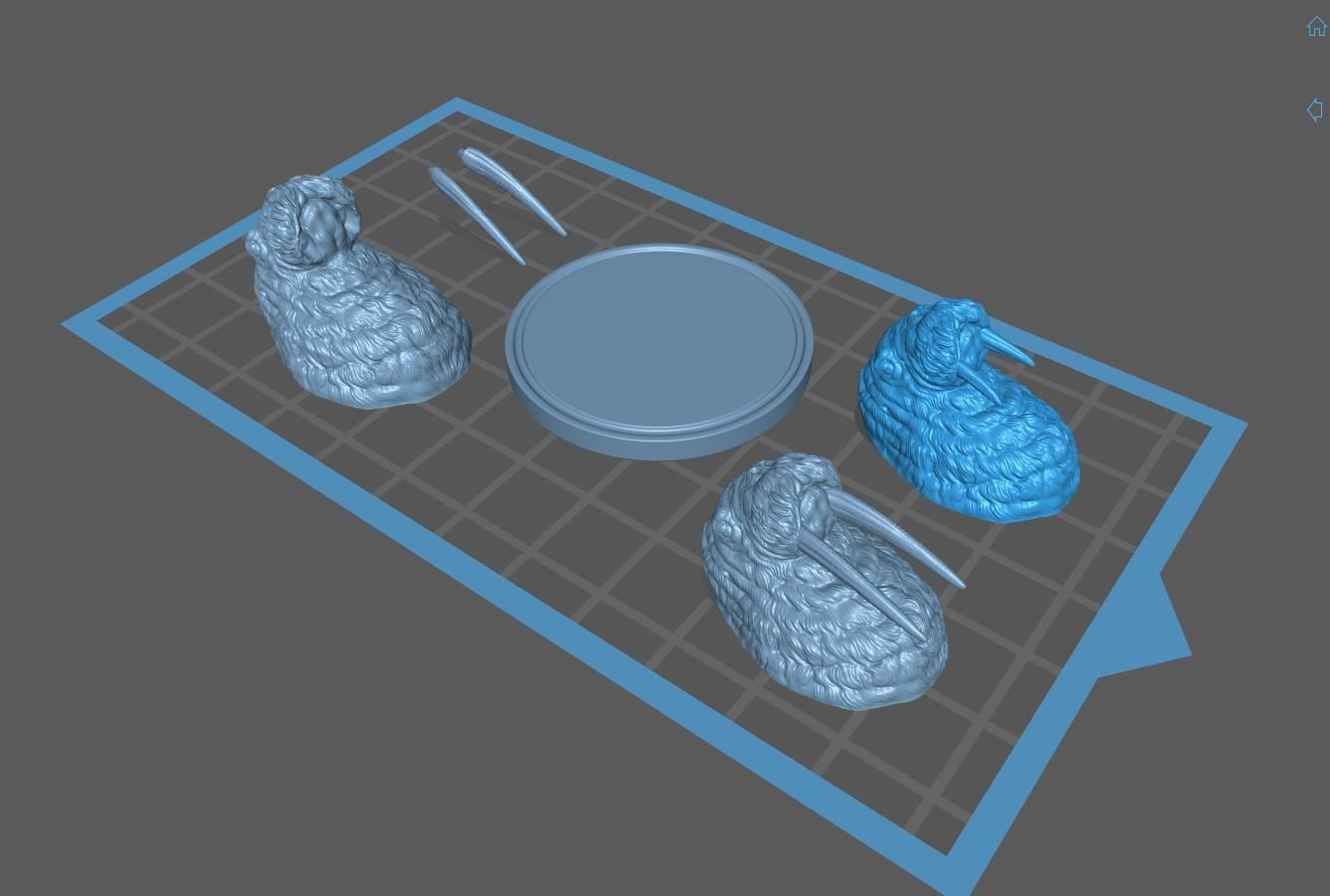 Walrus head 3D print model_21