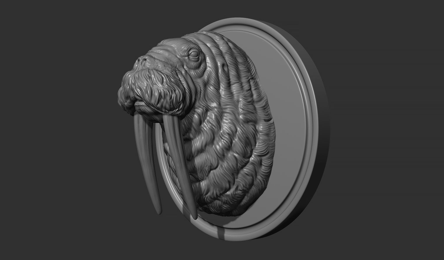 Walrus head 3D print model_3