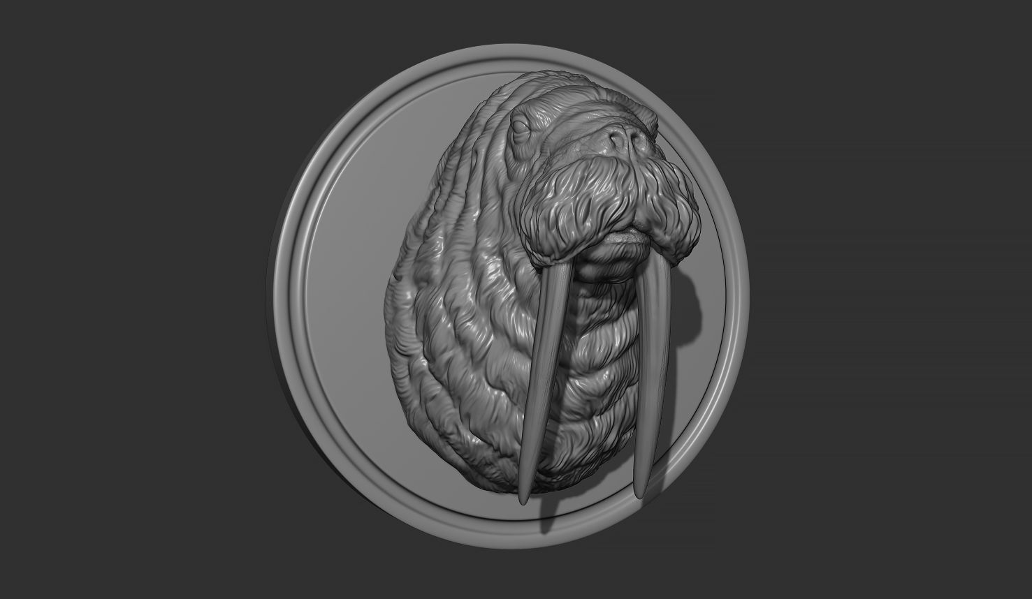 Walrus head 3D print model_2