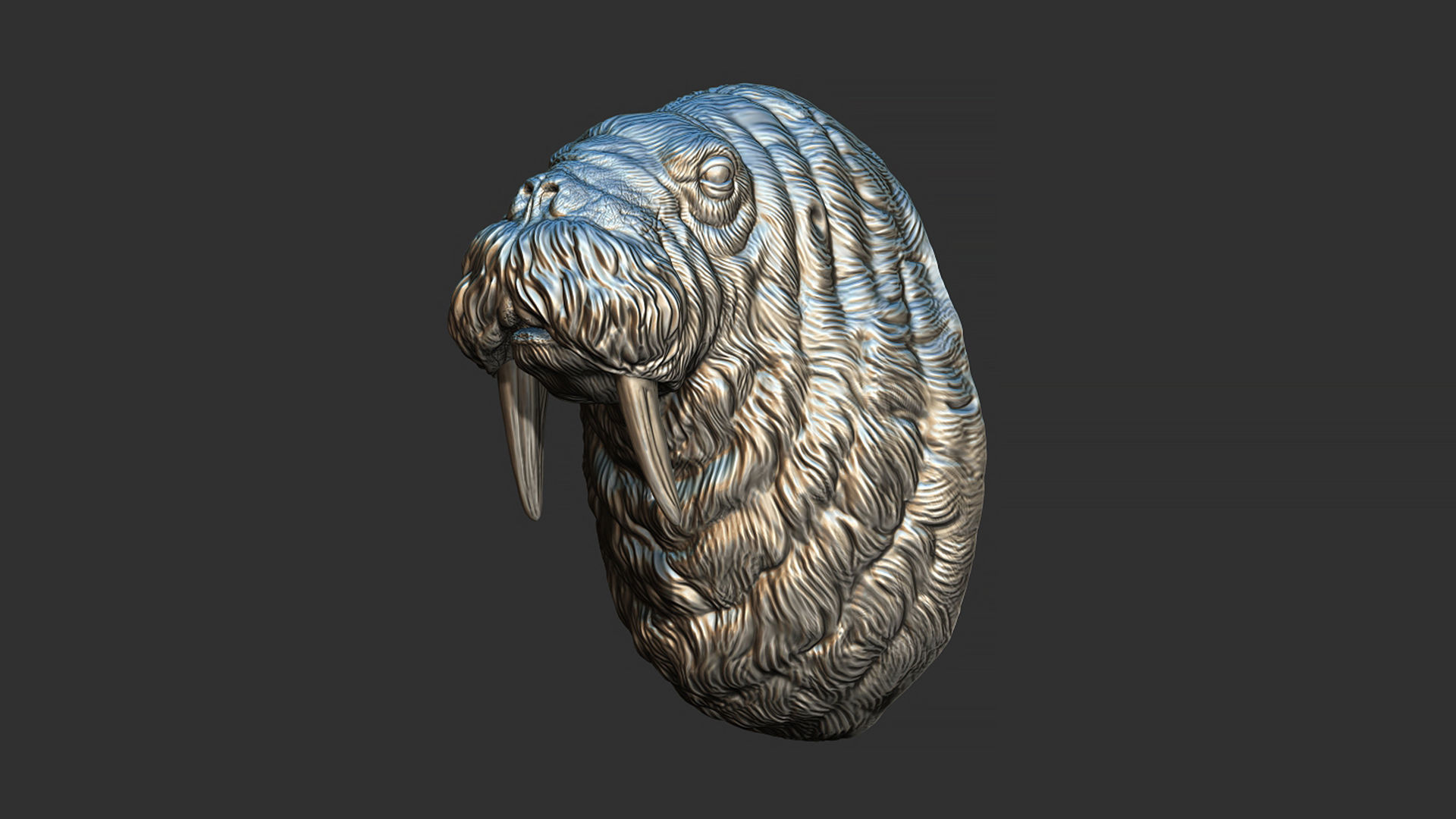 Walrus head 3D print model_13