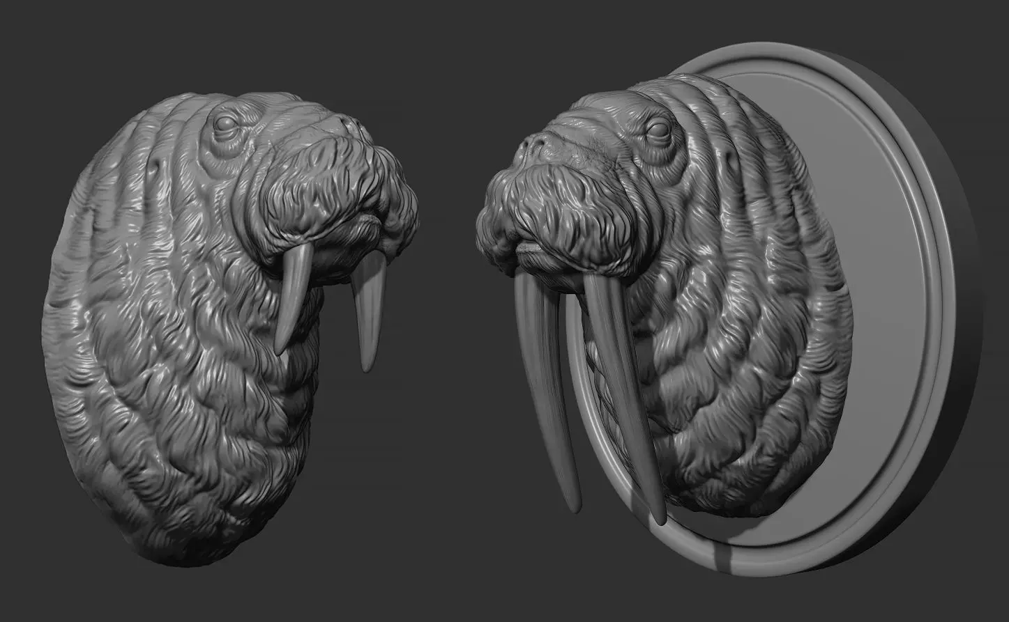Walrus head 3D print model_0