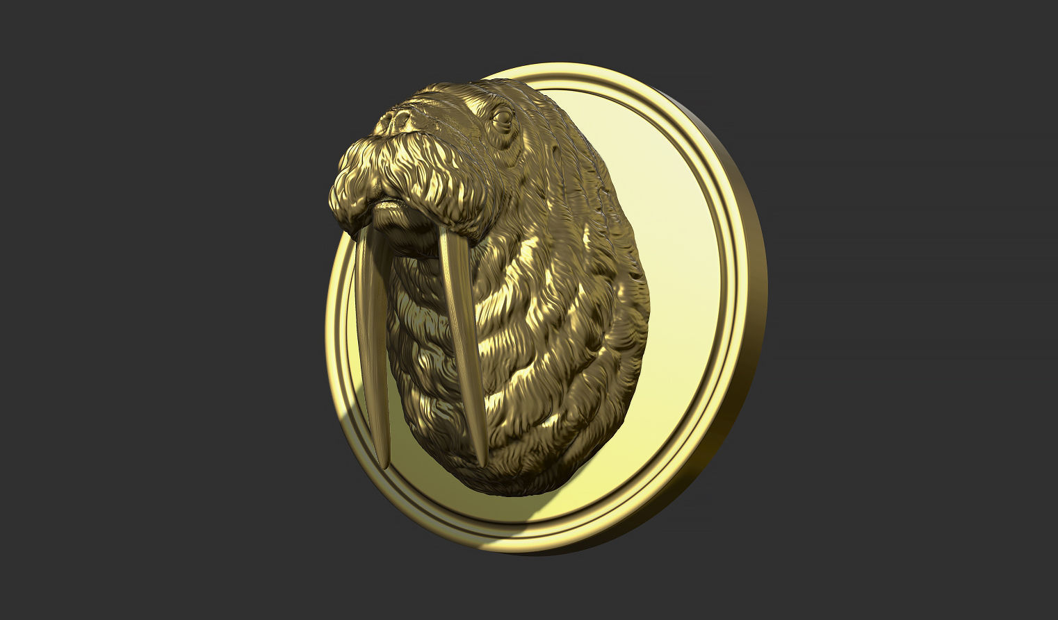 Walrus head 3D print model_16