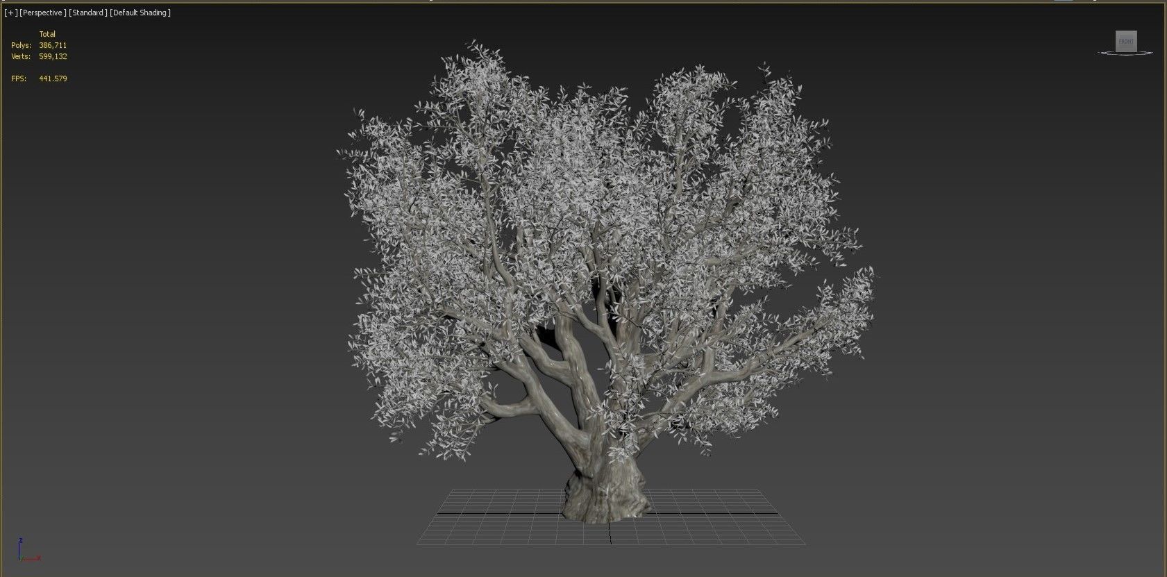Olive Tree 3D model_6