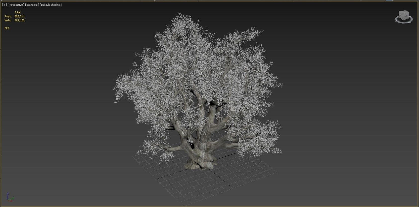 Olive Tree 3D model_5