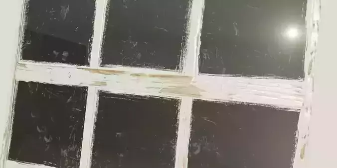 Exfoliated Wood Window 3D model