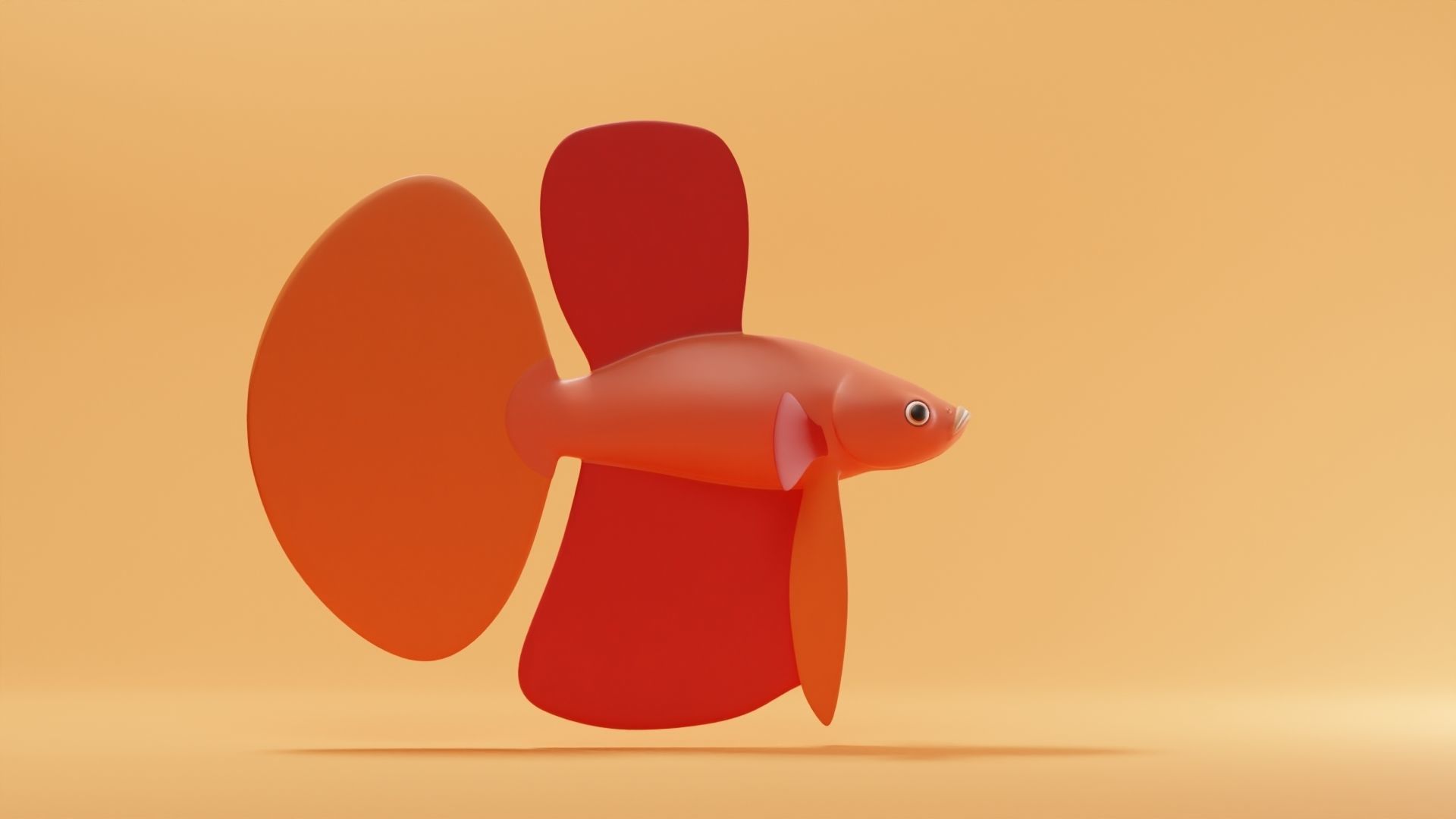 Betta Fish Base Mesh Low-poly 3D model_3