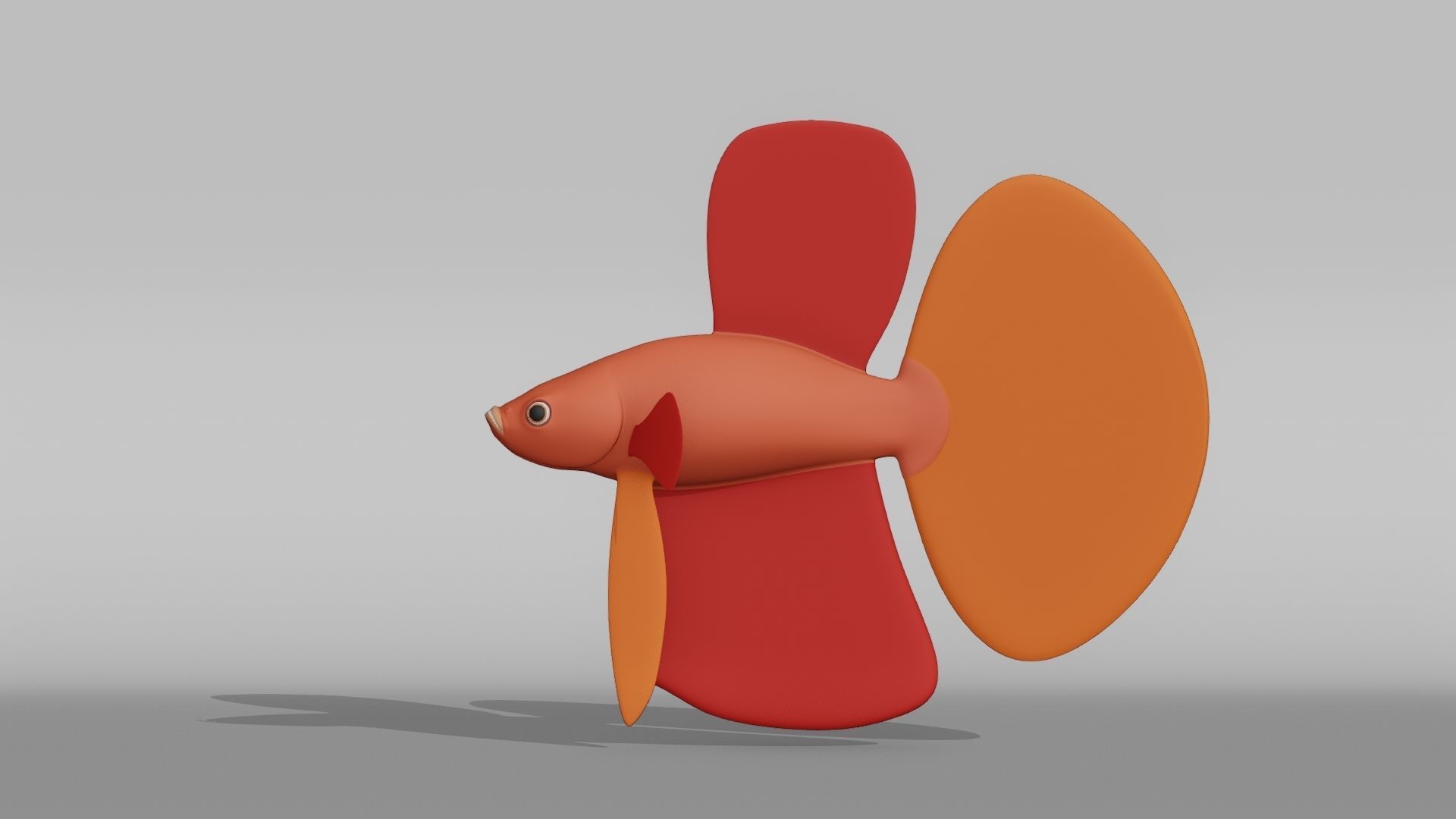 Betta Fish Base Mesh Low-poly 3D model_10