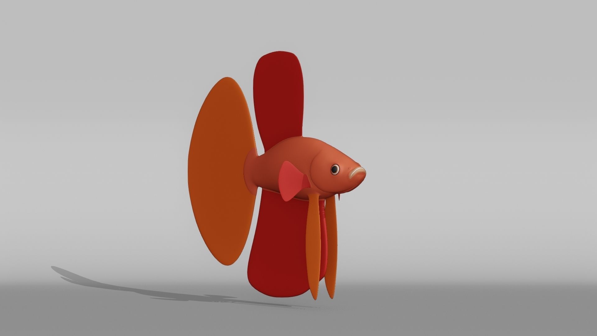 Betta Fish Base Mesh Low-poly 3D model_9