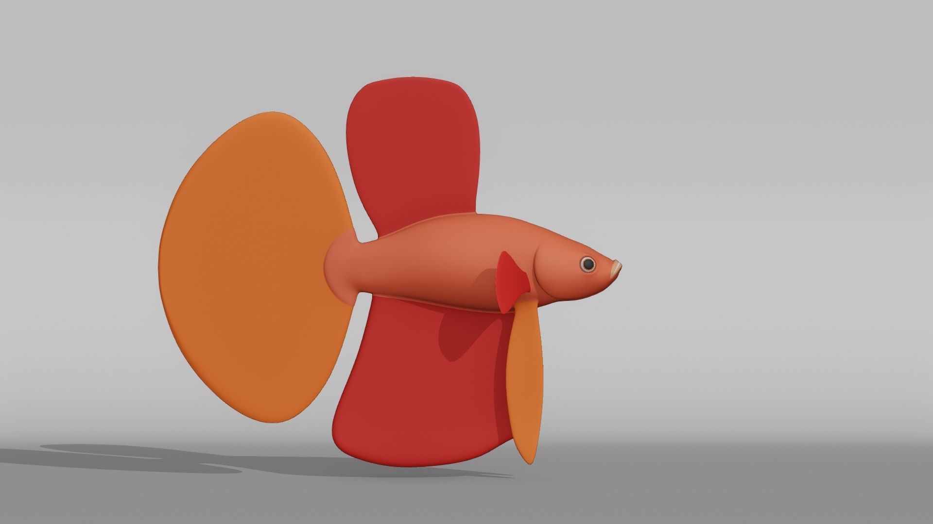 Betta Fish Base Mesh Low-poly 3D model_7