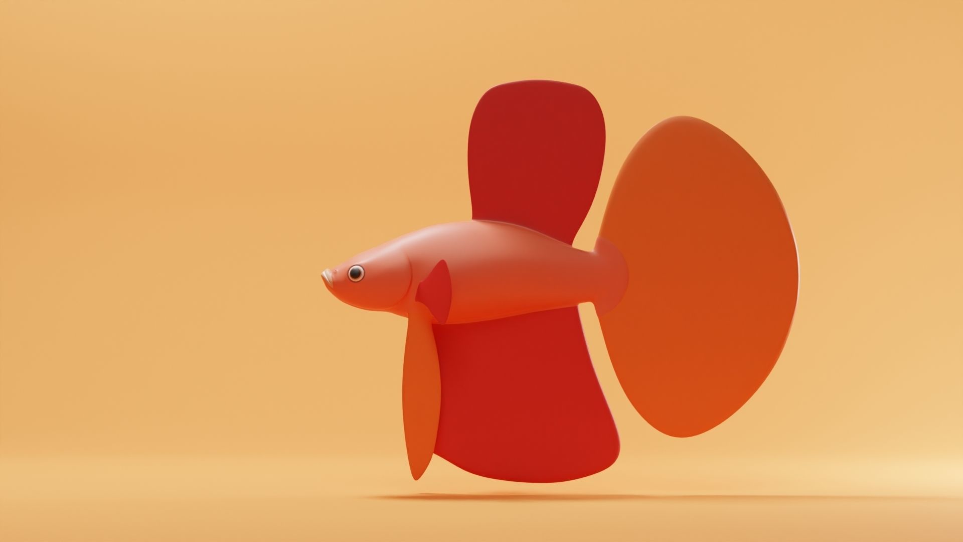 Betta Fish Base Mesh Low-poly 3D model_5