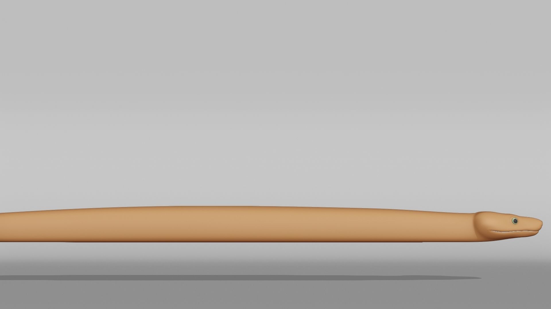 Boa Constrictor Base Mesh Low-poly 3D model_8