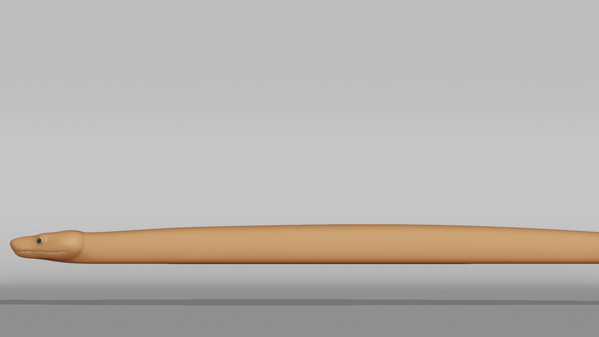 Boa Constrictor Base Mesh Low-poly 3D model_10