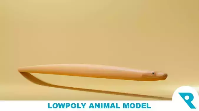 Boa Constrictor Base Mesh Low-poly 3D model