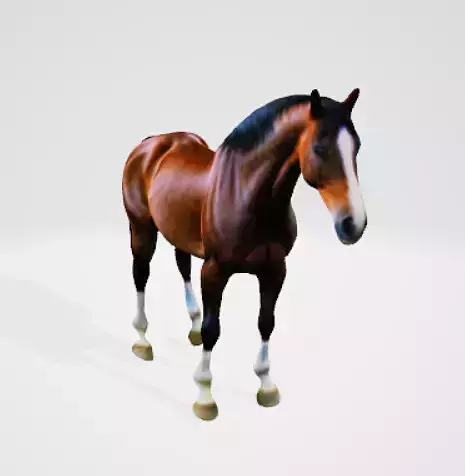High quality horse model