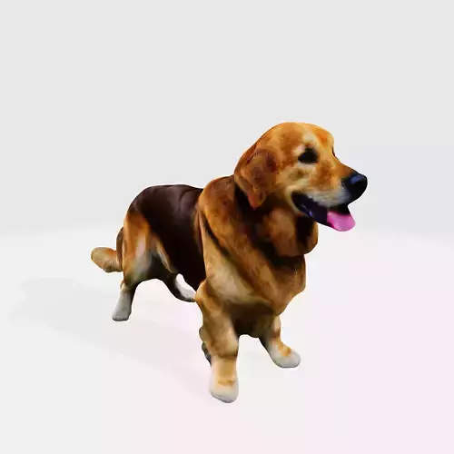 Realistic Golden Retriever 3D Model - Ready for Printing