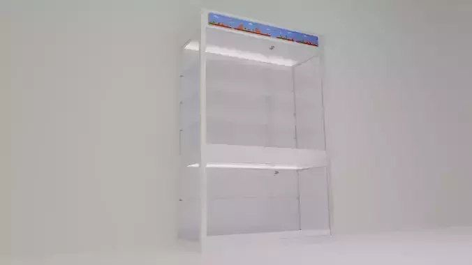 Lighted Glass Display Case
