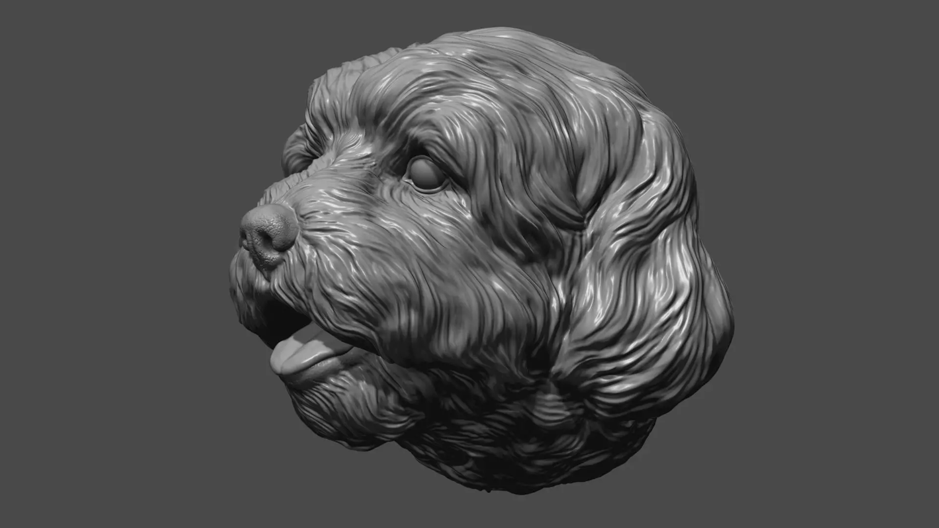 Lhasa Apso head dog 3D print model