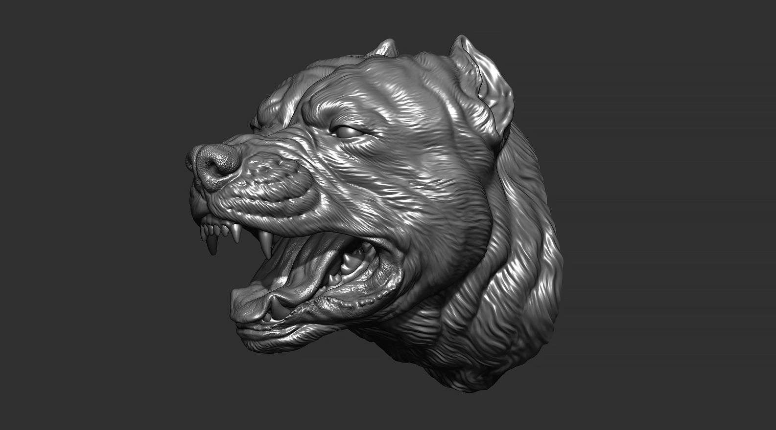 Pitbull grin head 3D print model_17