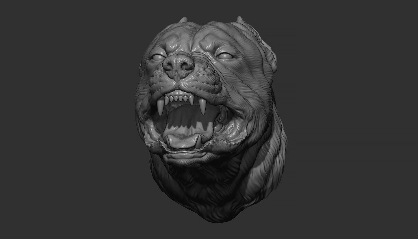 Pitbull grin head 3D print model_9