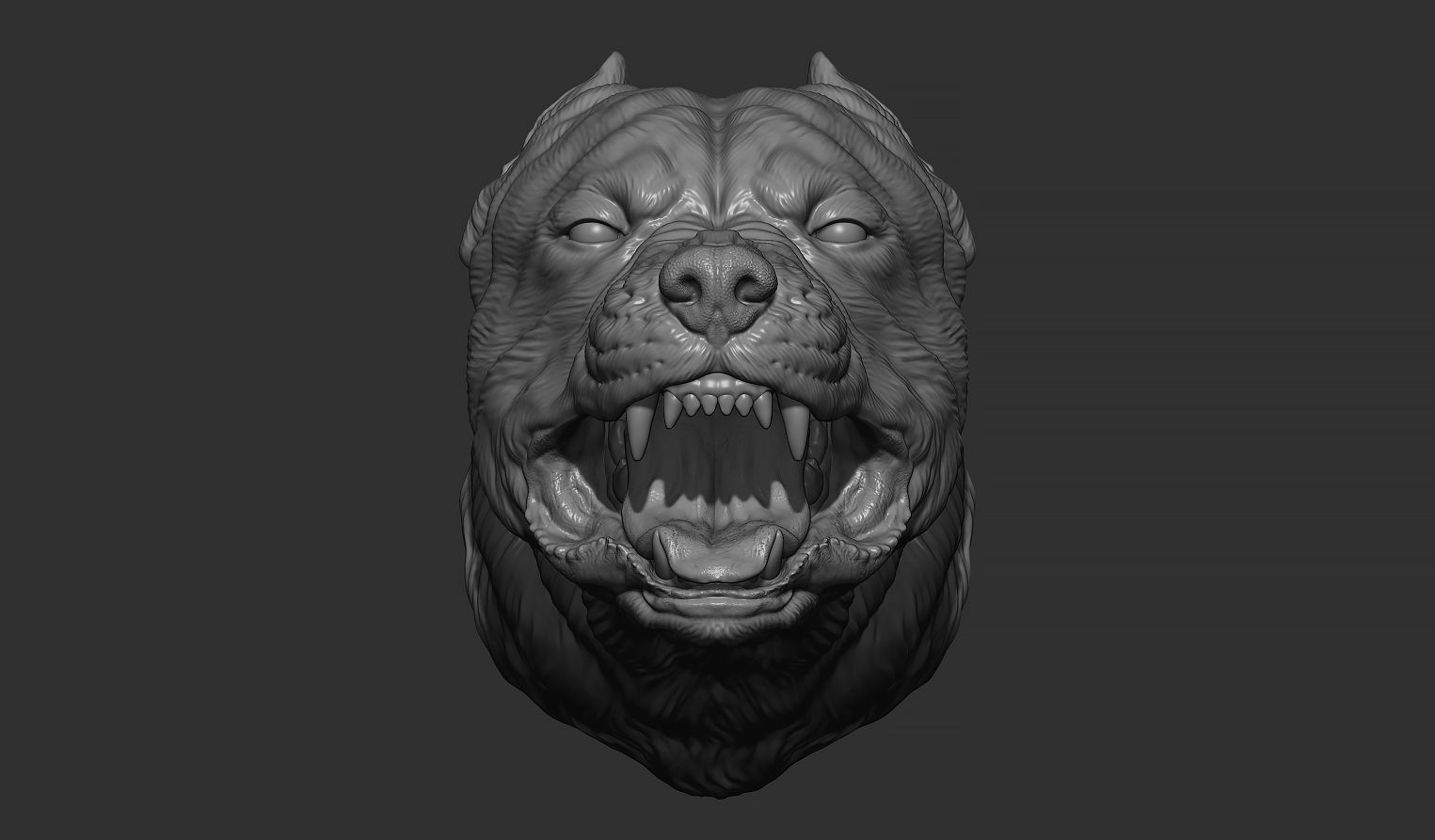 Pitbull grin head 3D print model_7