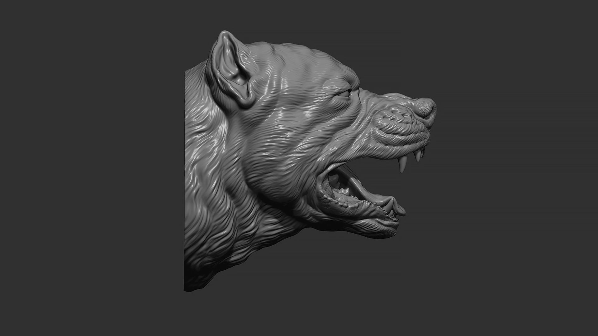 Pitbull grin head 3D print model_5